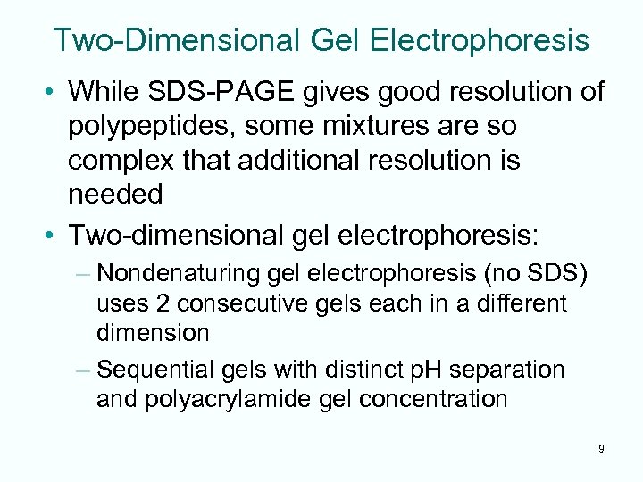Two-Dimensional Gel Electrophoresis • While SDS-PAGE gives good resolution of polypeptides, some mixtures are