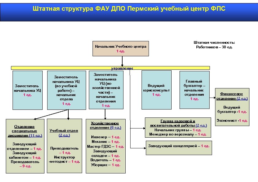 Штатная структура