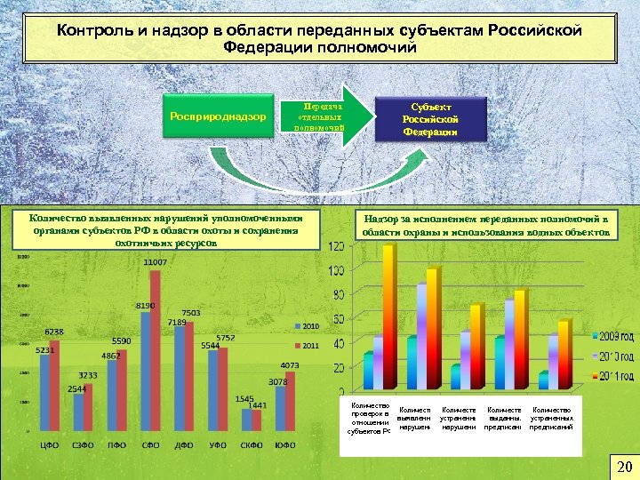Контроль и надзор в области переданных субъектам Российской Федерации полномочий Росприроднадзор Передача отдельных полномочий