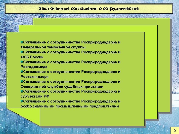 Заключенные соглашения о сотрудничестве Соглашение о сотрудничестве Росприроднадзора и Федеральной таможенной службы Соглашение о