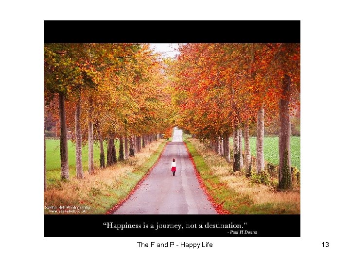 The F and P - Happy Life 13 