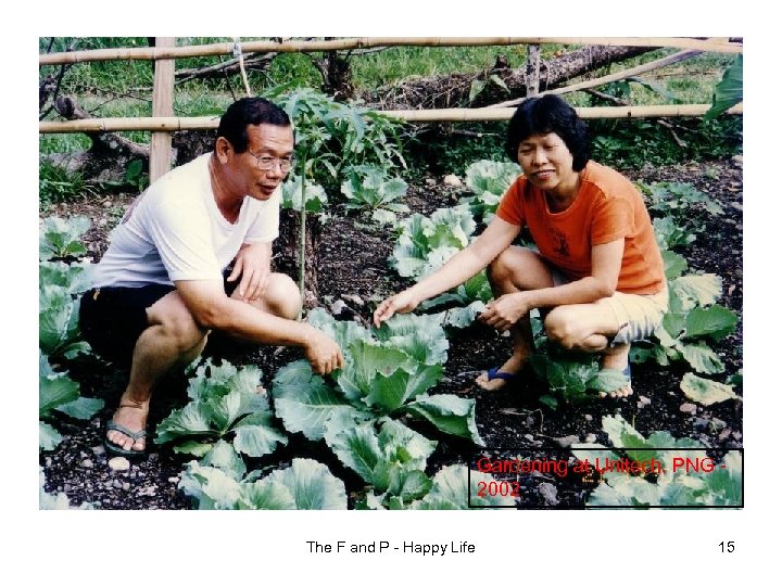Gardening at Unitech, PNG - 2002 The F and P - Happy Life 15