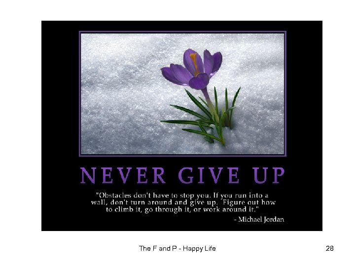 The F and P - Happy Life 28 