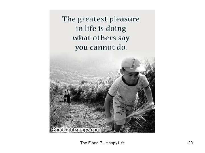 The F and P - Happy Life 29 