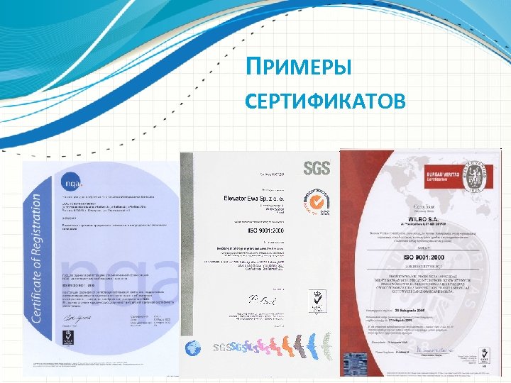 ПРИМЕРЫ СЕРТИФИКАТОВ 