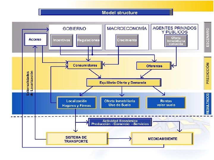 Model structure 