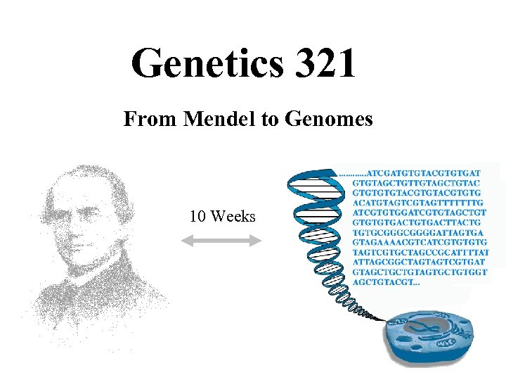 Genetics 321 From Mendel to Genomes 10 Weeks 