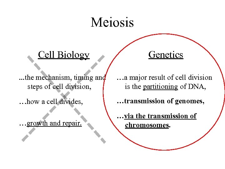 Meiosis Cell Biology Genetics . . . the mechanism, timing and steps of cell