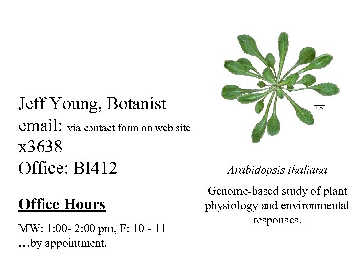 Jeff Young, Botanist email: via contact form on web site x 3638 Office: BI