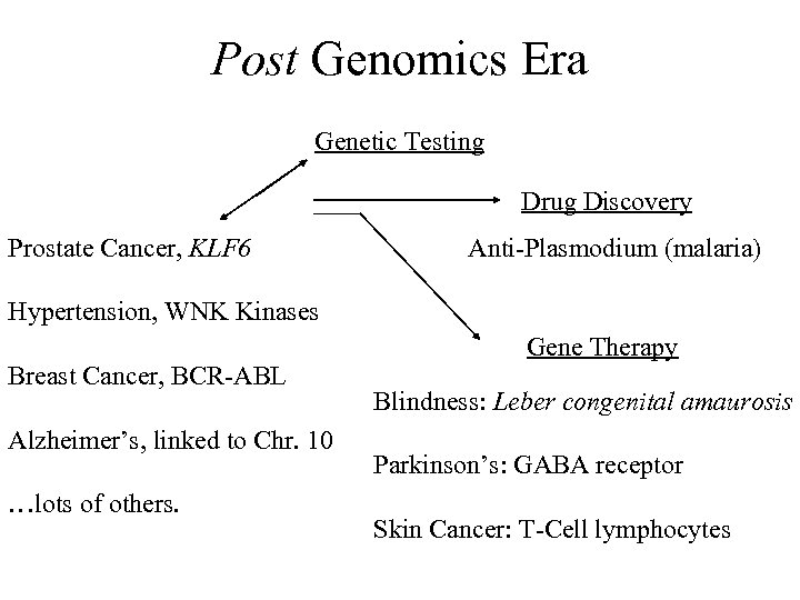 Post Genomics Era Genetic Testing Drug Discovery Prostate Cancer, KLF 6 Anti-Plasmodium (malaria) Hypertension,