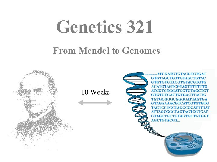 Genetics 321 From Mendel to Genomes 10 Weeks 