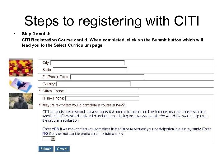 Steps to registering with CITI • Step 6 cont’d: CITI Registration Course cont’d. When