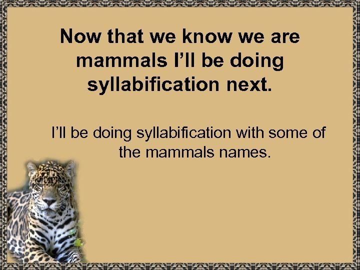 Now that we know we are mammals I’ll be doing syllabification next. I’ll be