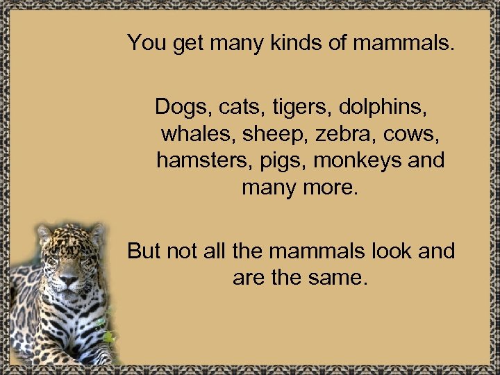 You get many kinds of mammals. Dogs, cats, tigers, dolphins, whales, sheep, zebra, cows,