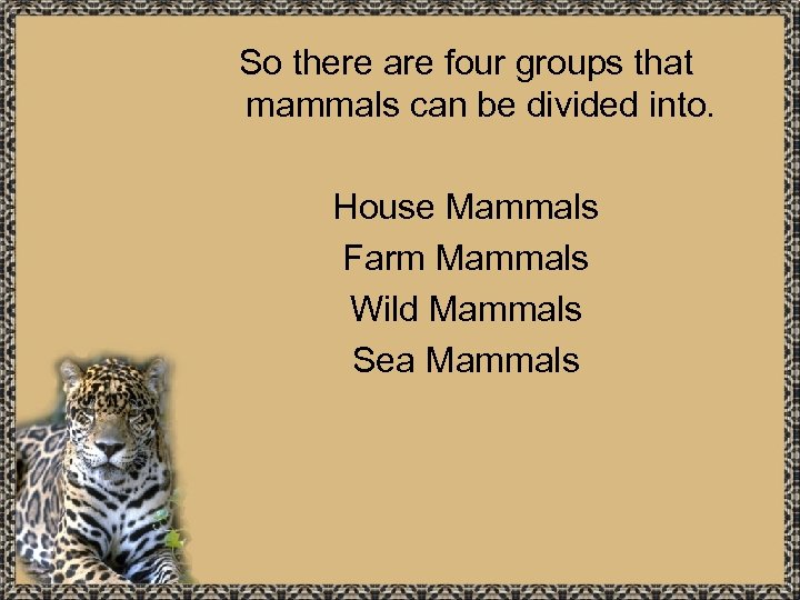 So there are four groups that mammals can be divided into. House Mammals Farm