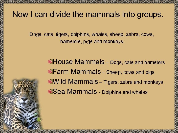 Now I can divide the mammals into groups. Dogs, cats, tigers, dolphins, whales, sheep,