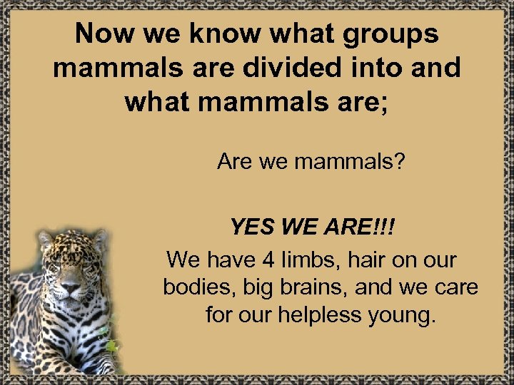 Now we know what groups mammals are divided into and what mammals are; Are