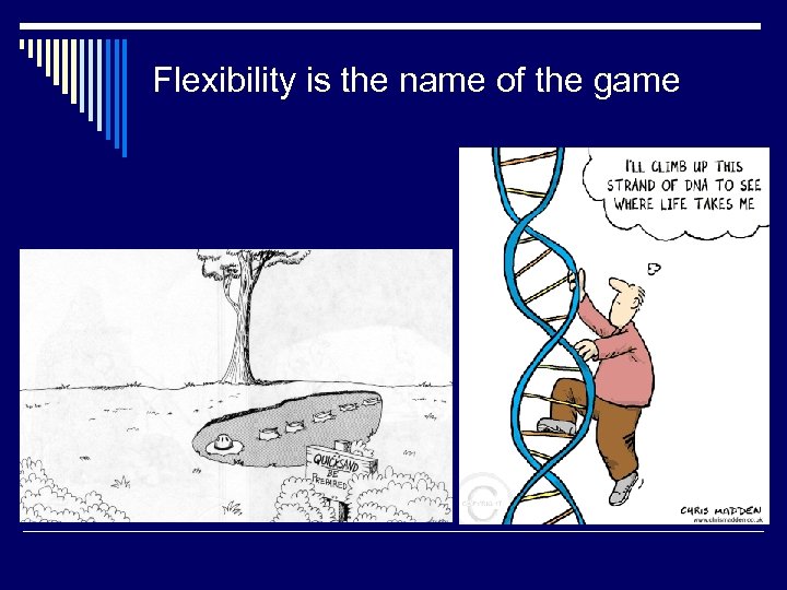 Flexibility is the name of the game 