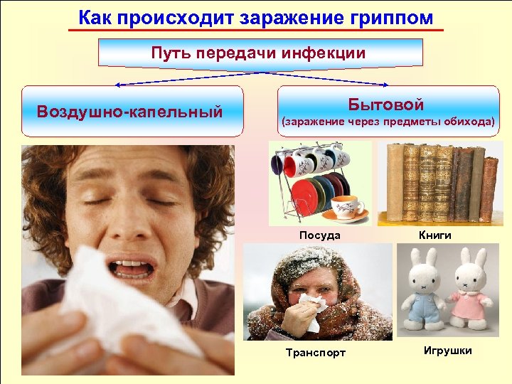 Как происходит заражение гриппом Путь передачи инфекции Воздушно капельный Бытовой (заражение через предметы обихода)