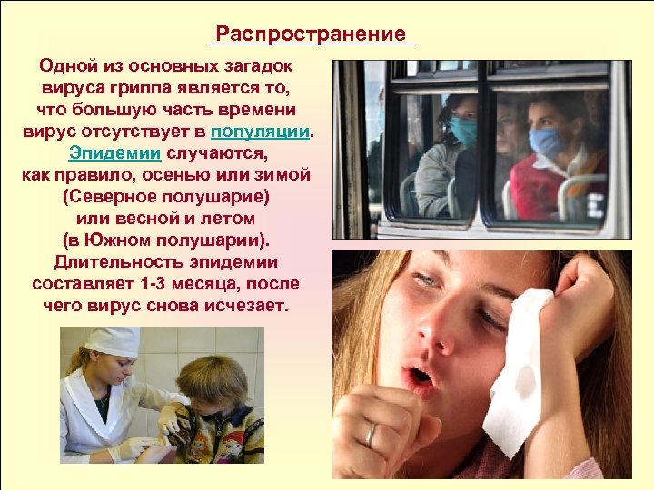 Распространение Одной из основных загадок вируса гриппа является то, что большую часть времени вирус