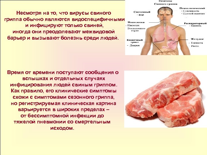 Несмотря на то, что вирусы свиного гриппа обычно являются видоспецифичными и инфицируют только свиней,