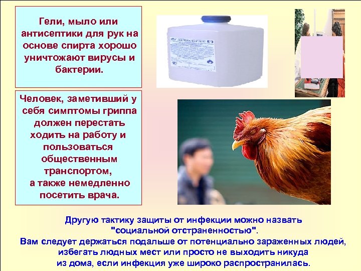 Гели, мыло или антисептики для рук на основе спирта хорошо уничтожают вирусы и бактерии.