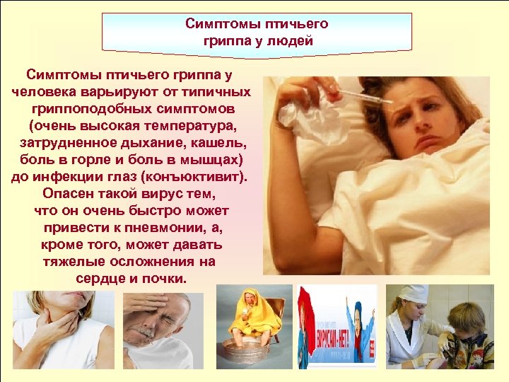 Симптомы птичьего гриппа у людей Симптомы птичьего гриппа у человека варьируют от типичных гриппоподобных