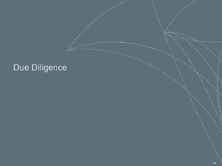 Due Diligence 14 