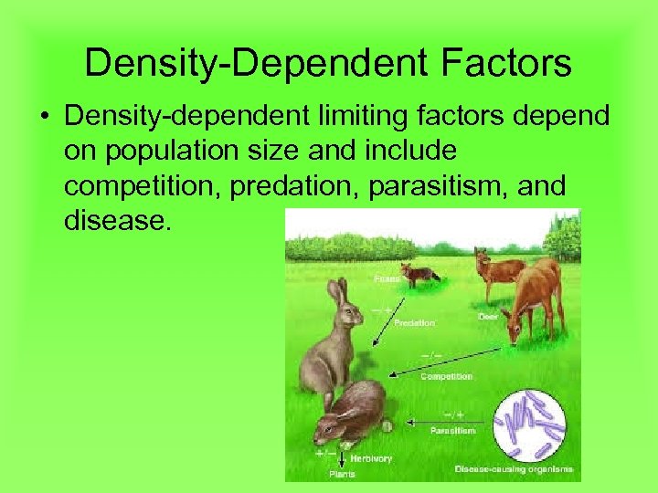 Density-Dependent Factors • Density-dependent limiting factors depend on population size and include competition, predation,