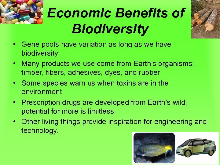 Economic Benefits of Biodiversity • Gene pools have variation as long as we have