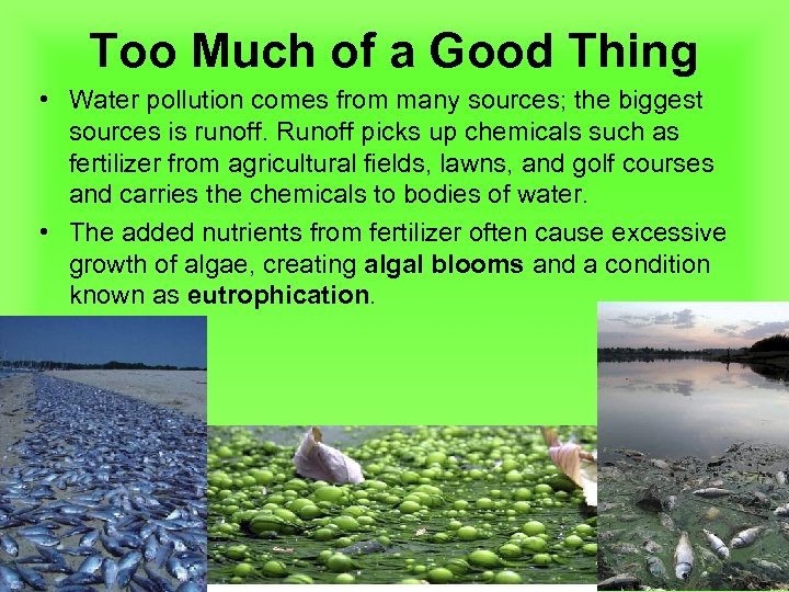 Too Much of a Good Thing • Water pollution comes from many sources; the