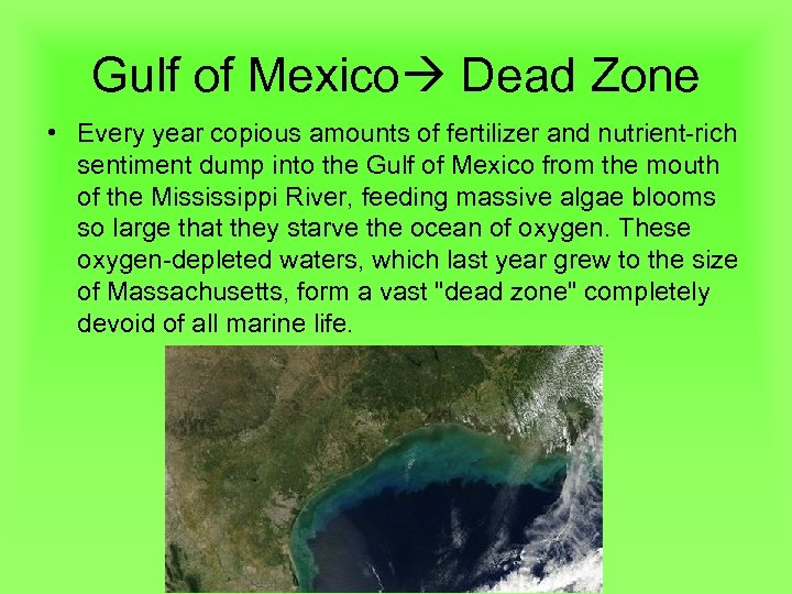 Gulf of Mexico Dead Zone • Every year copious amounts of fertilizer and nutrient-rich