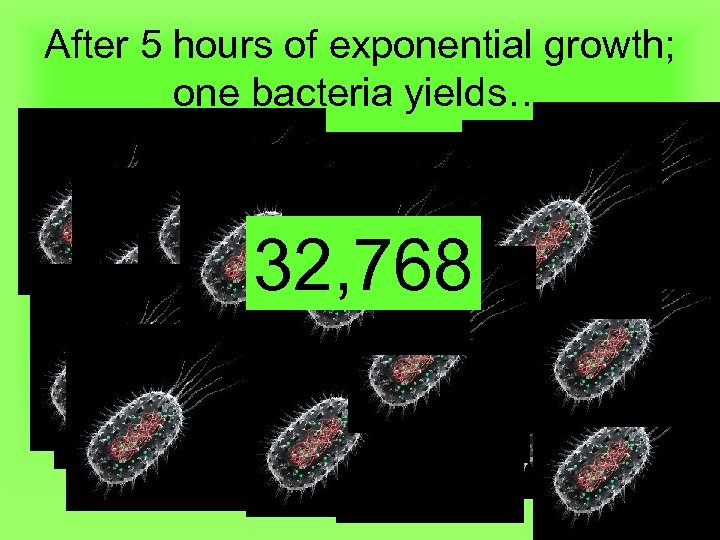 After 5 hours of exponential growth; one bacteria yields… 32, 768 
