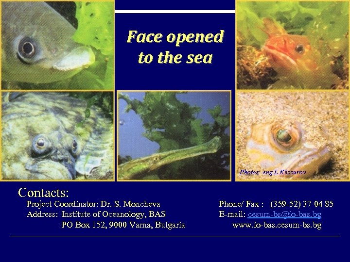 Face opened to the sea Photos: eng. L. Klissurov Contacts: Project Coordinator: Dr. S.