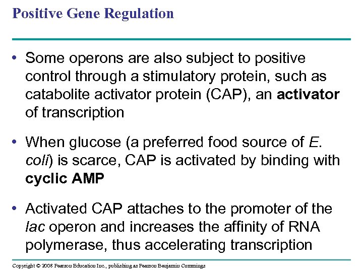 Positive Gene Regulation • Some operons are also subject to positive control through a