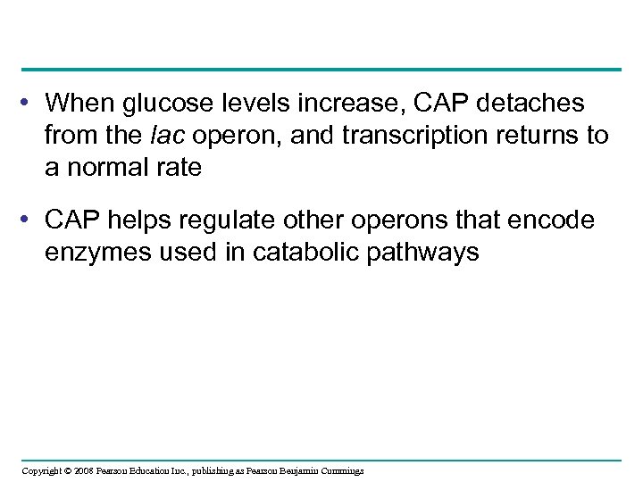  • When glucose levels increase, CAP detaches from the lac operon, and transcription