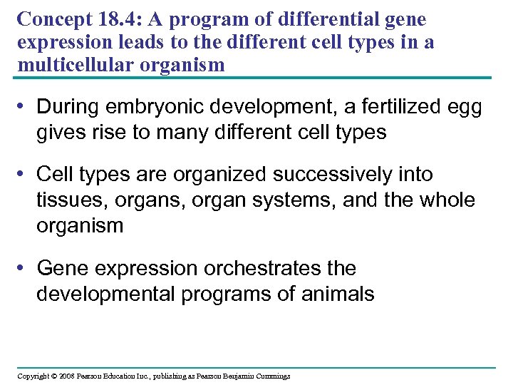 Concept 18. 4: A program of differential gene expression leads to the different cell