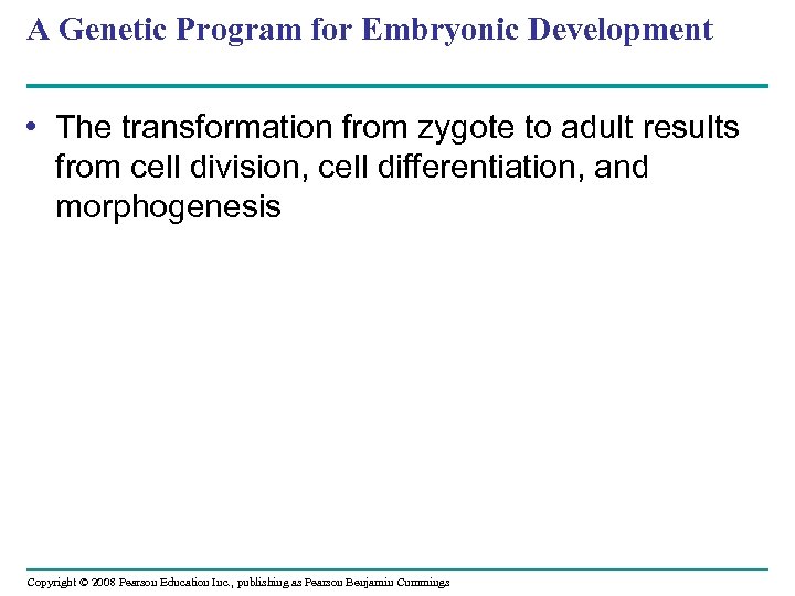 A Genetic Program for Embryonic Development • The transformation from zygote to adult results