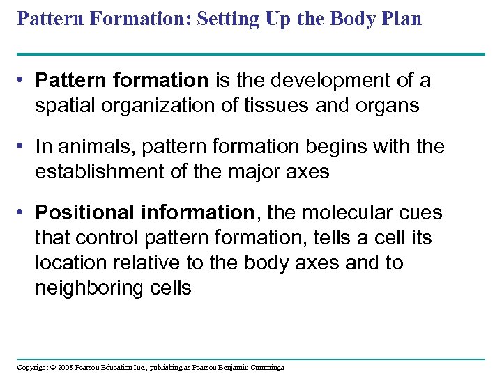 Pattern Formation: Setting Up the Body Plan • Pattern formation is the development of