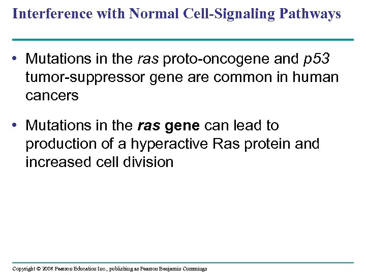 Interference with Normal Cell-Signaling Pathways • Mutations in the ras proto-oncogene and p 53