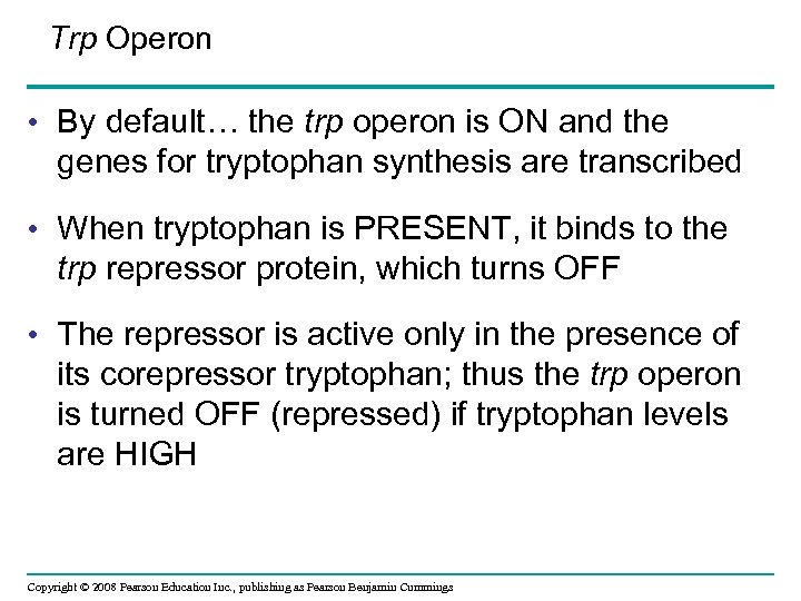 Trp Operon • By default… the trp operon is ON and the genes for