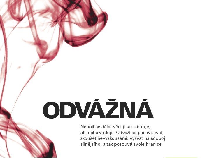 Jméno Příjmení / Místo / 00. 0000 / Typ prezentace 17 