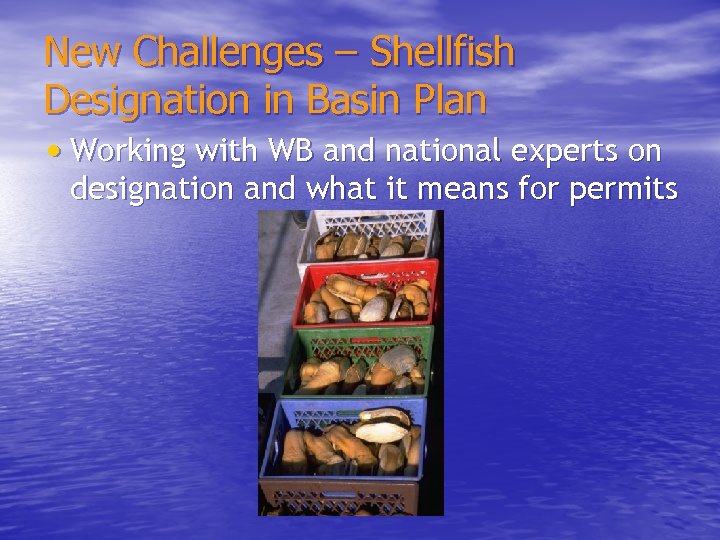 New Challenges – Shellfish Designation in Basin Plan • Working with WB and national