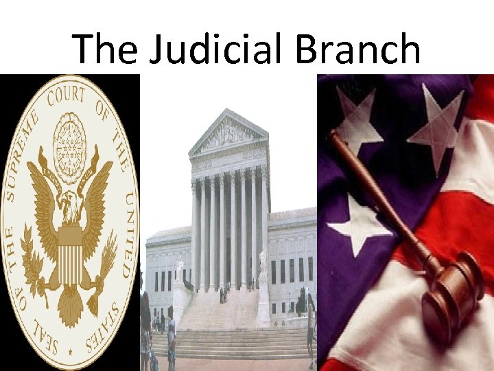 The Judicial Branch 