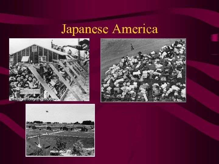 Japanese America 