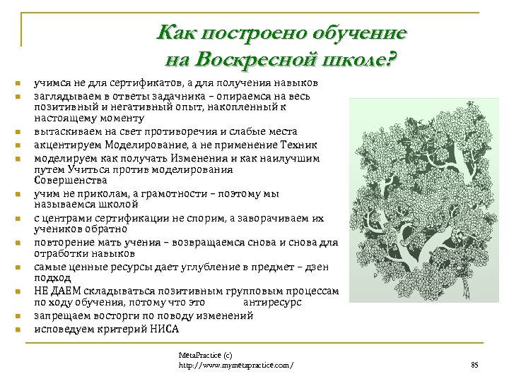 Как построено обучение на Воскресной школе? n n n учимся не для сертификатов, а