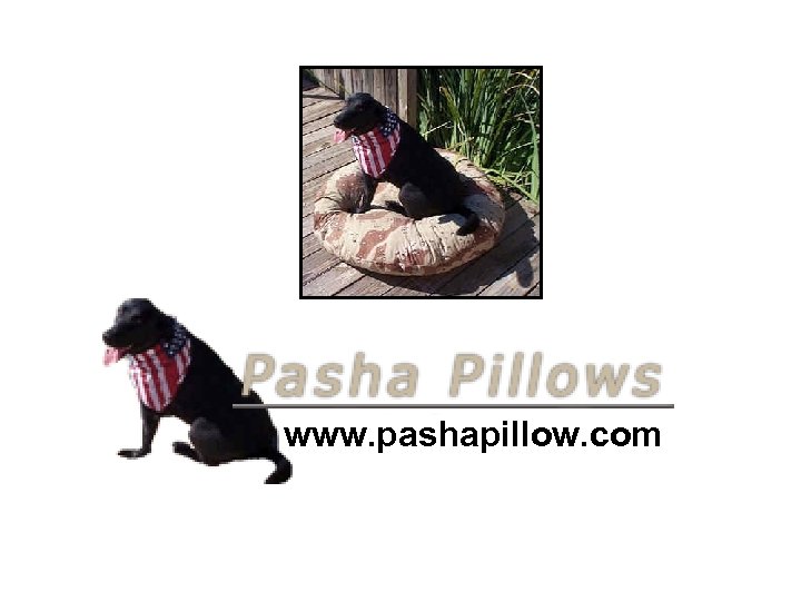 www. pashapillow. com 