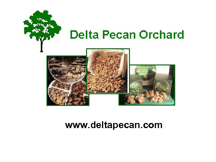 www. deltapecan. com 