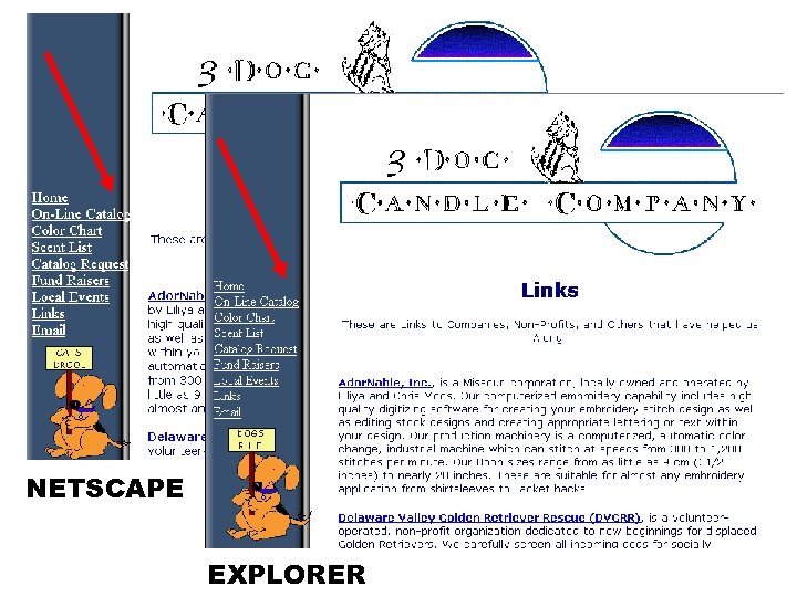 NETSCAPE EXPLORER 