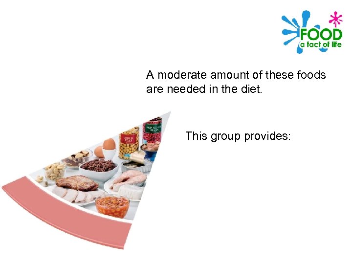 A moderate amount of these foods are needed in the diet. This group provides: